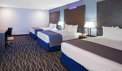 Rooms at rooms-at-travelodge-anaheim-inn-suites-california-sm